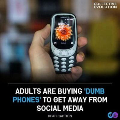 WhatsApp Image 2026-01-30 at 22.46.38