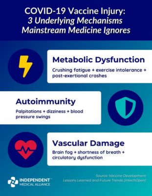 650258934_1612359210463059_5440336023223575248_n
