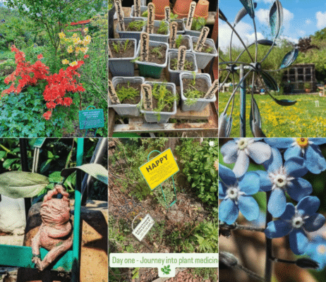 Dilston-Physic-Garden-dilstonphysicgarden-•-Instagram-photos-and-videos-06-22-2026_04_24_PM