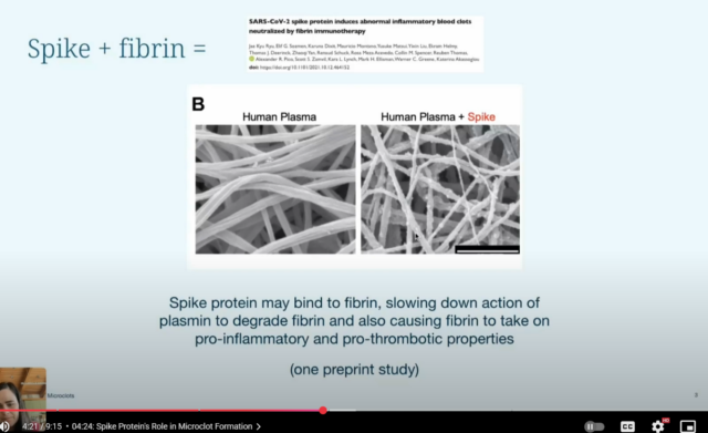 microclots