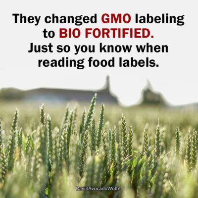 WhatsApp Image 2025-07-18 at 17.43.06