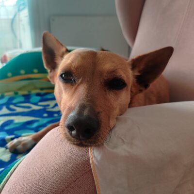 WhatsApp Image 2025-09-08 at 22.32.09