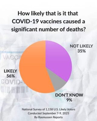 545394108_1448130533552595_3552522170993438573_n