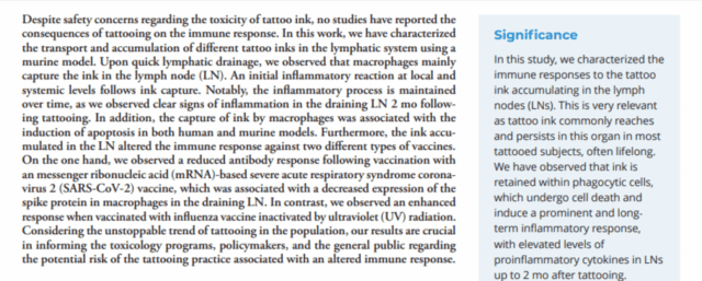 Tattoo-ink-induces-inflammation-in-the-draining-lymph-node-and-alters-the-immune-response-to-vaccination-12-10-2025_05_07_PM