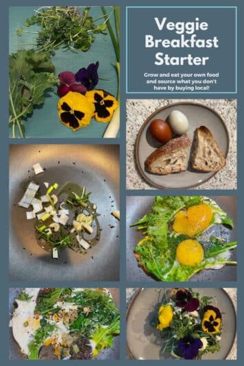 grown and wat your food