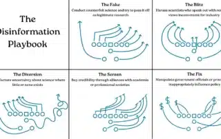 The Disinformation Playbook