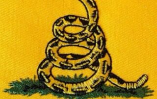 FLCCC-NEWS-CAPSULE-2023-11-5