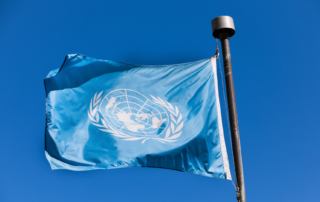 U.N. W.H.O. Flag