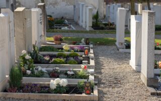 Another Op-ed Questions why so many Americans are Dying Early