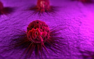 cancer stem cells hero