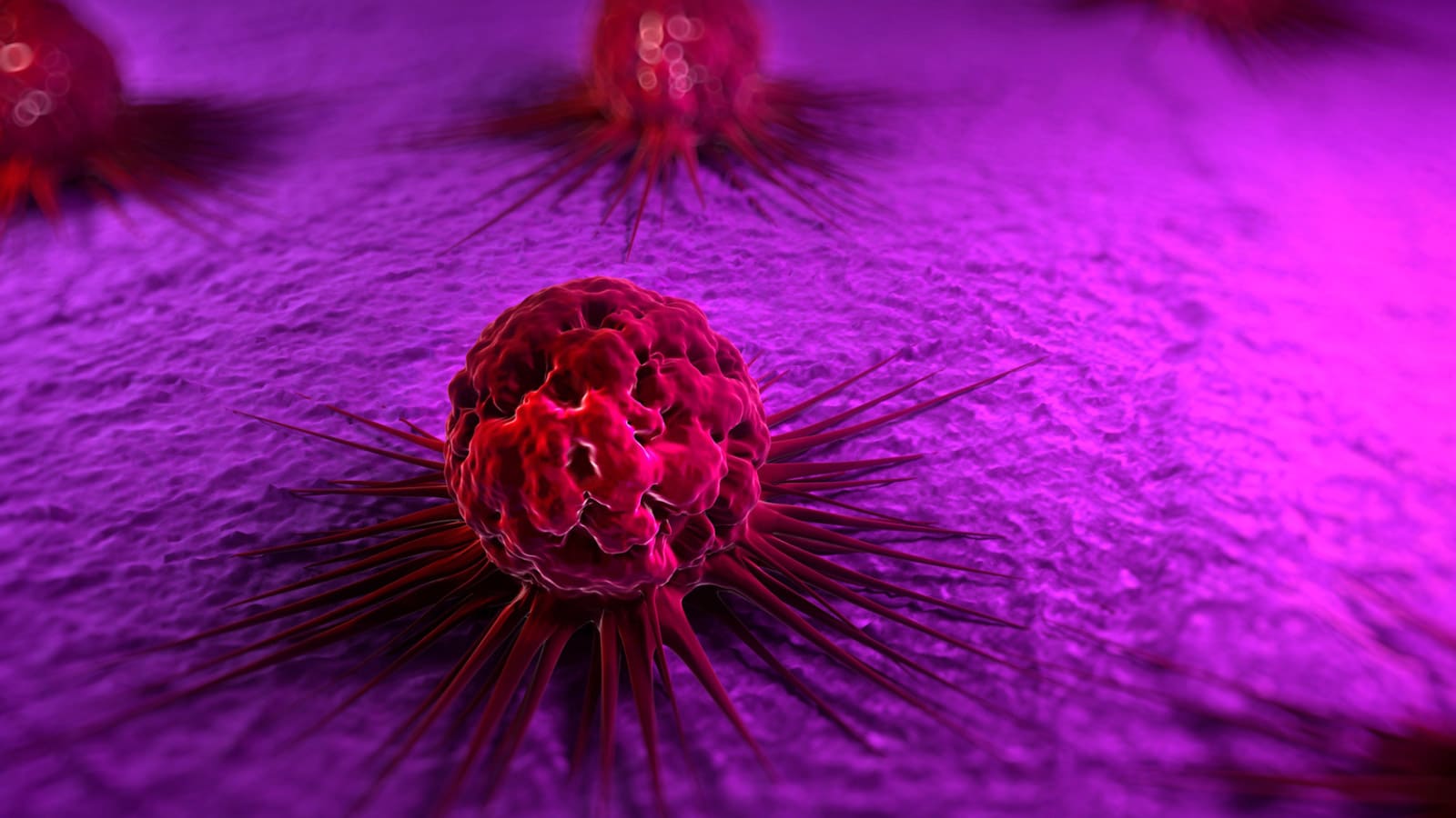 cancer stem cells hero cancer stem cells hero