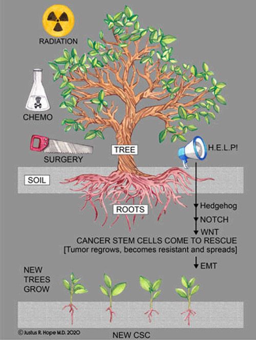 cancer stem cells tree