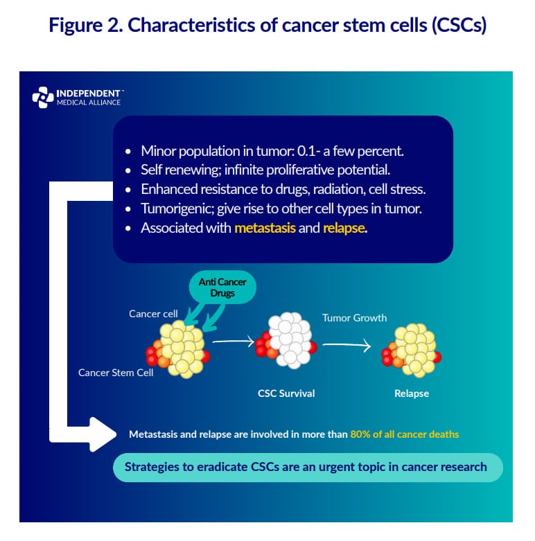 characteristics of cancer stem cells cancer stem cell pathways