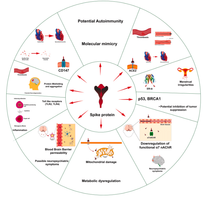 spike protein biomarkers