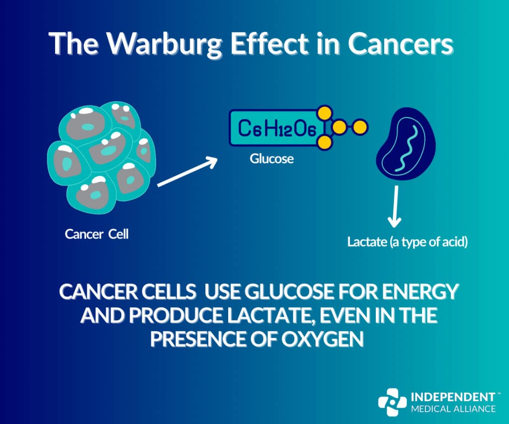 diagram Warburg effect