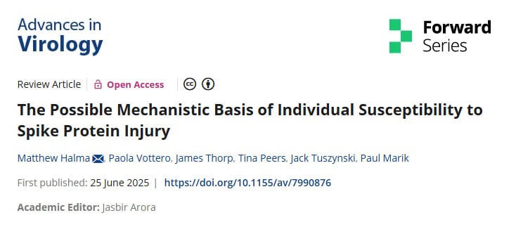 the possible mechanistic basis of individual susceptibility to spike protein injury the possible mechanistic basis of individual susceptibility to spike protein injury