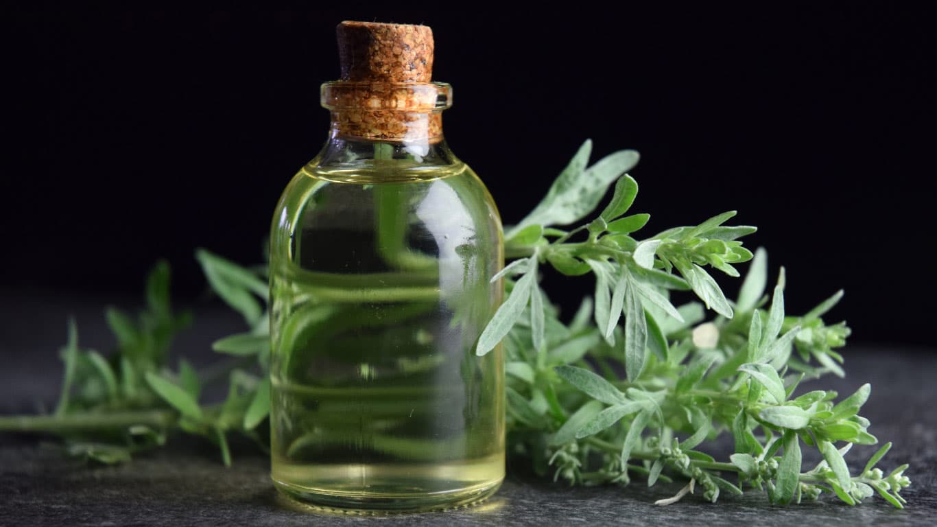 wormwood extract wormwood extract