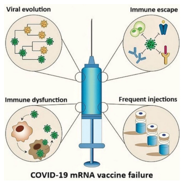 covid 19 mrna injection failure cancer stem cell pathways