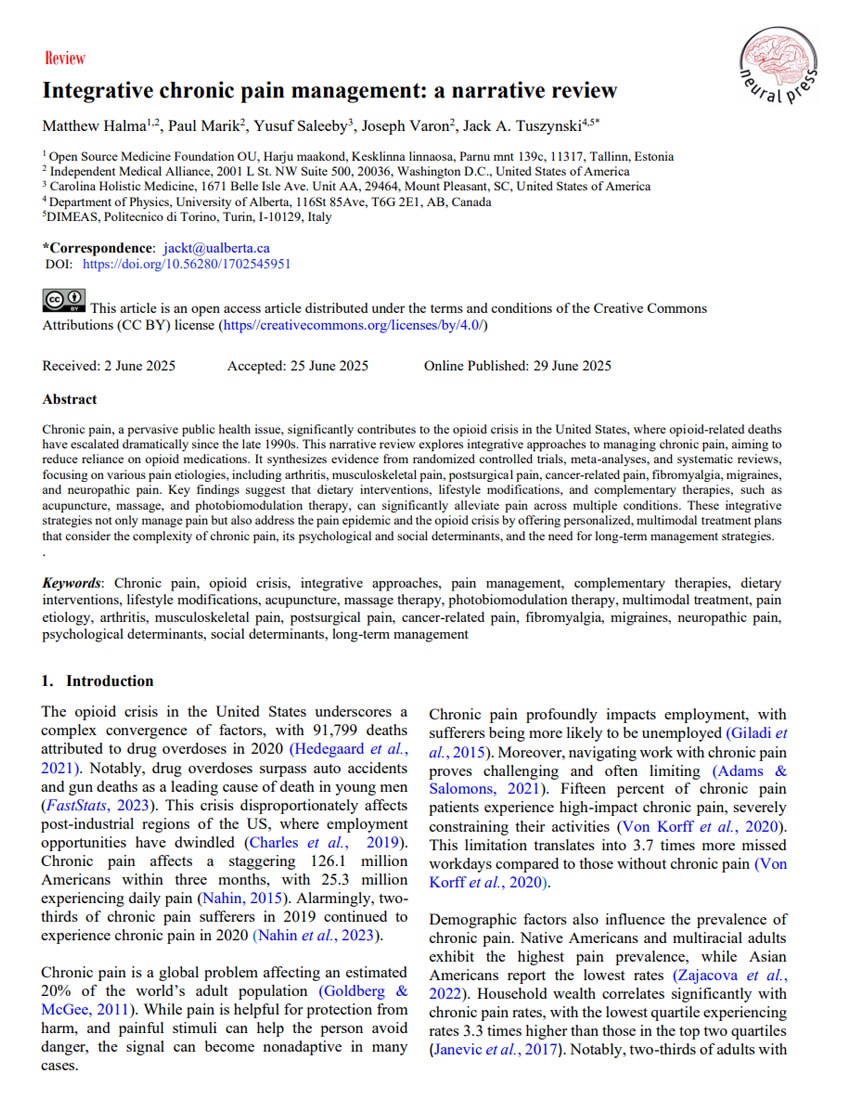 integrative chronic pain management a narrative review