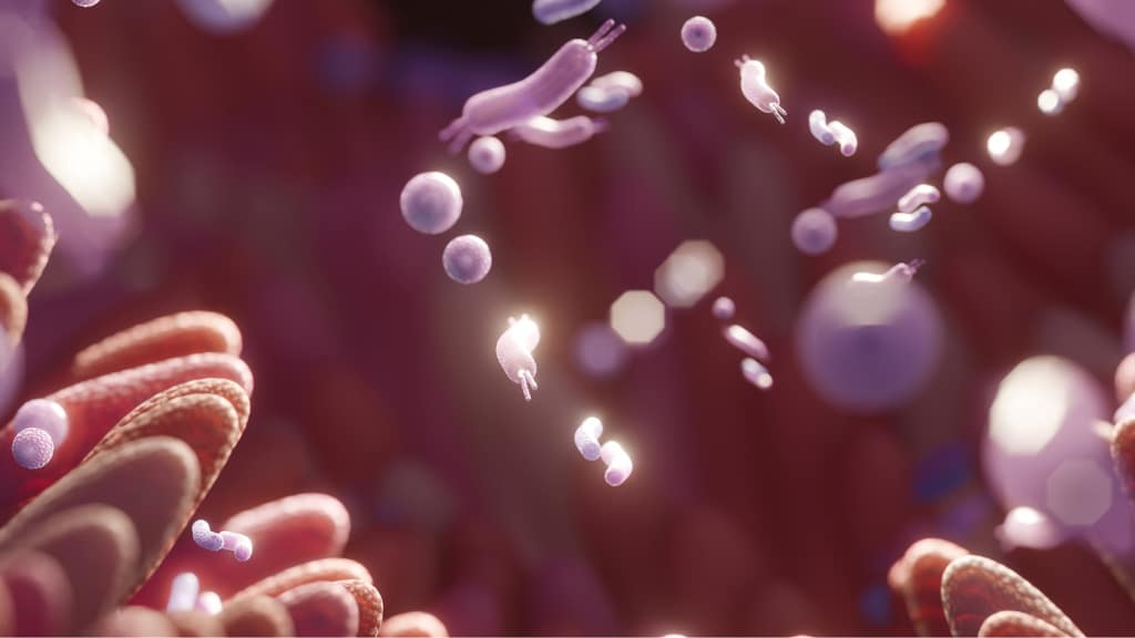 GERD root causes GERD root causes