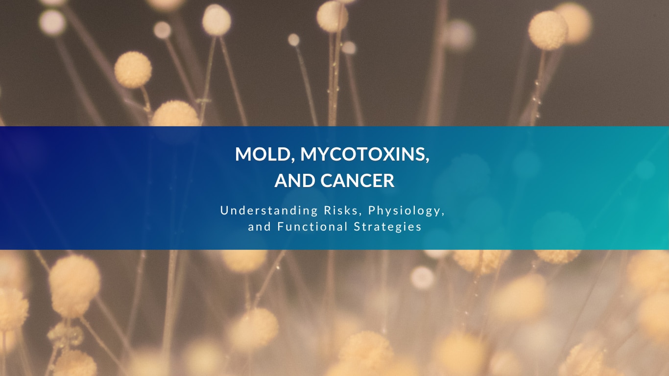 mold mycotoxins and cancer cover image