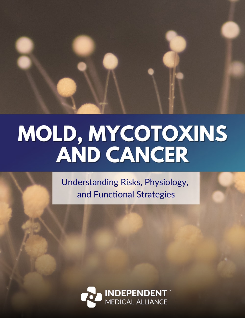 mold mycotoxins and cancer pdf cover