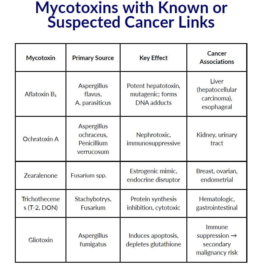 mycotoxins with known cancer risk mycotoxins with known cancer risk