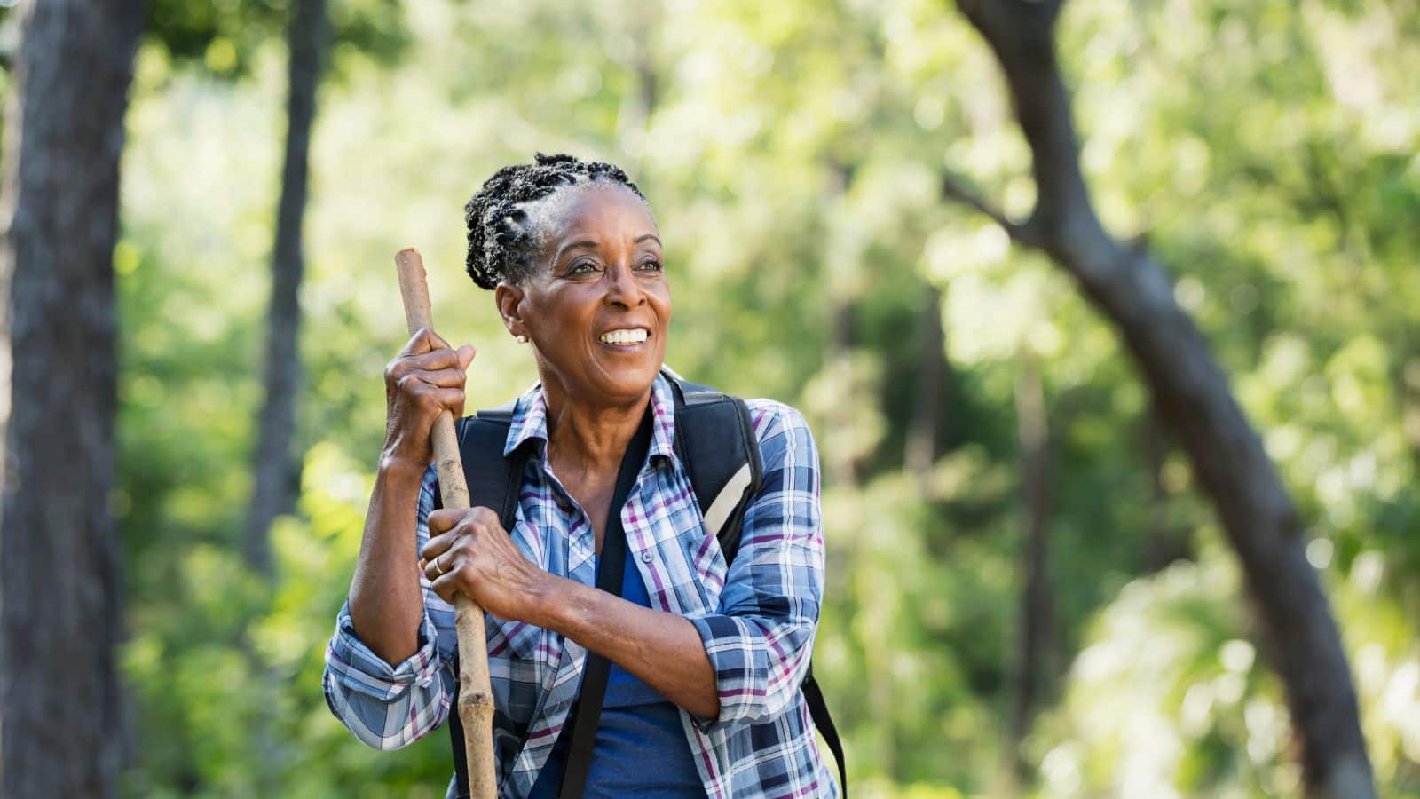 osteoporosis study natural herbal treatments osteoporosis study natural herbal treatments