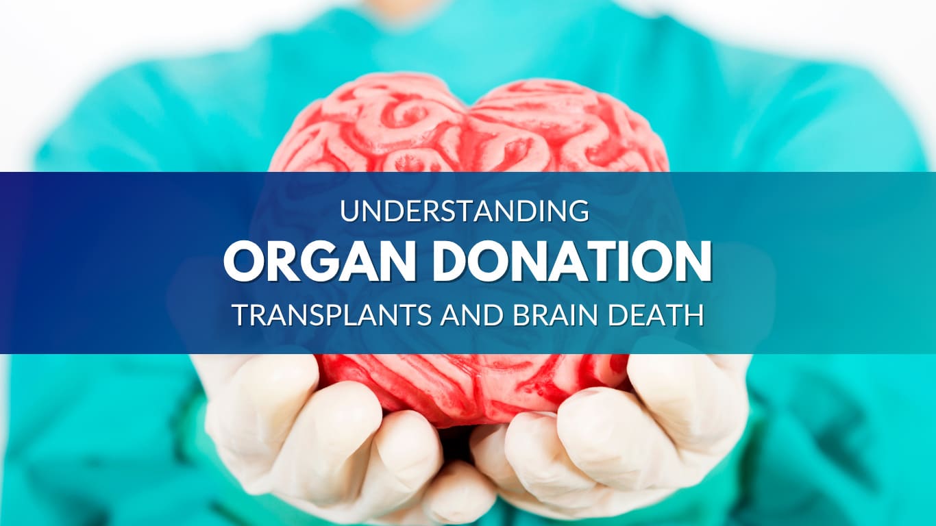 understanding organ donation