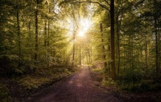 non drug solutions depression anxiety