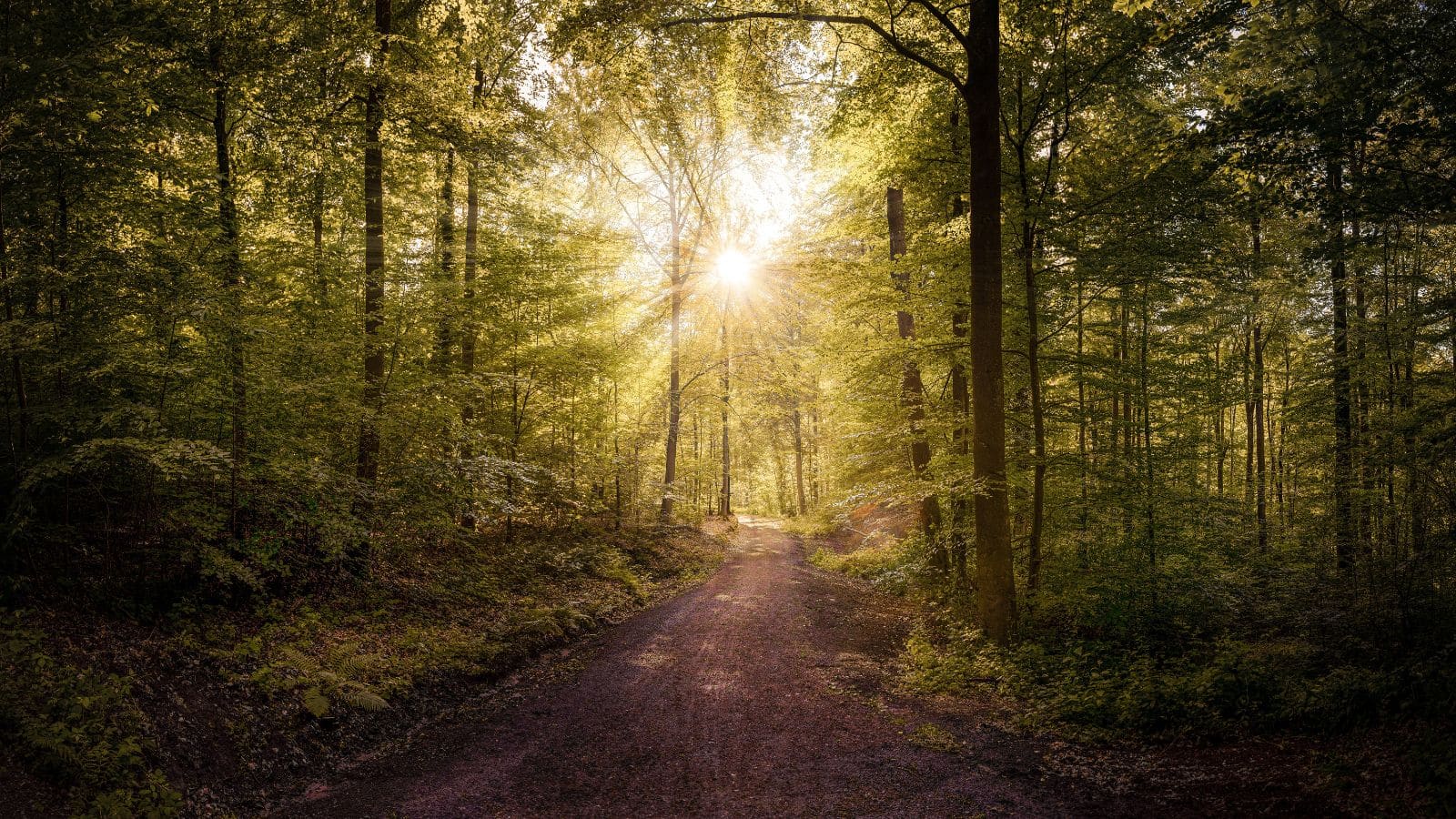 non drug solutions depression anxiety non drug solutions depression anxiety