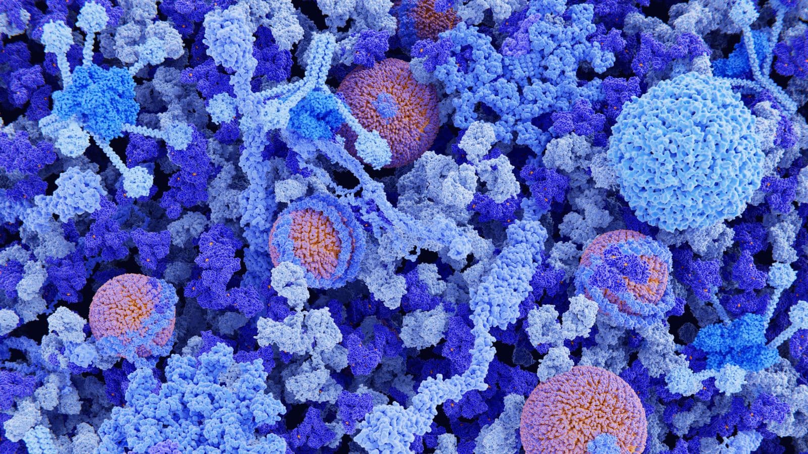 PACVS immune dysregulation