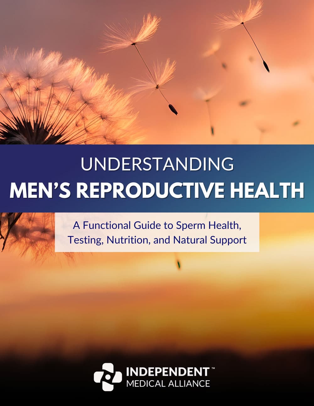 Guide to Men's Reproductive Health Cover