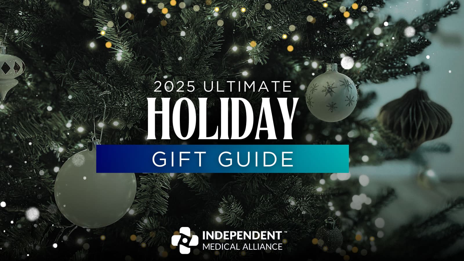 ima holiday gift guide cover image