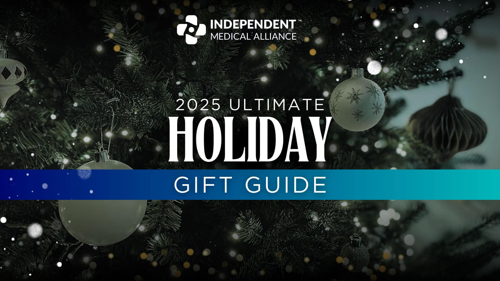 Holiday gift guide