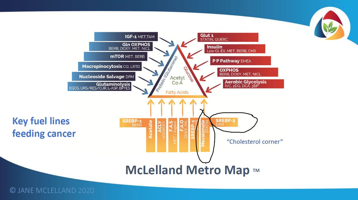 Jane McLelland Cholesterol Corner Jane McLelland Cholesterol Corner
