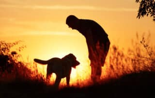 One man, his dog, and the doctor we all deserve