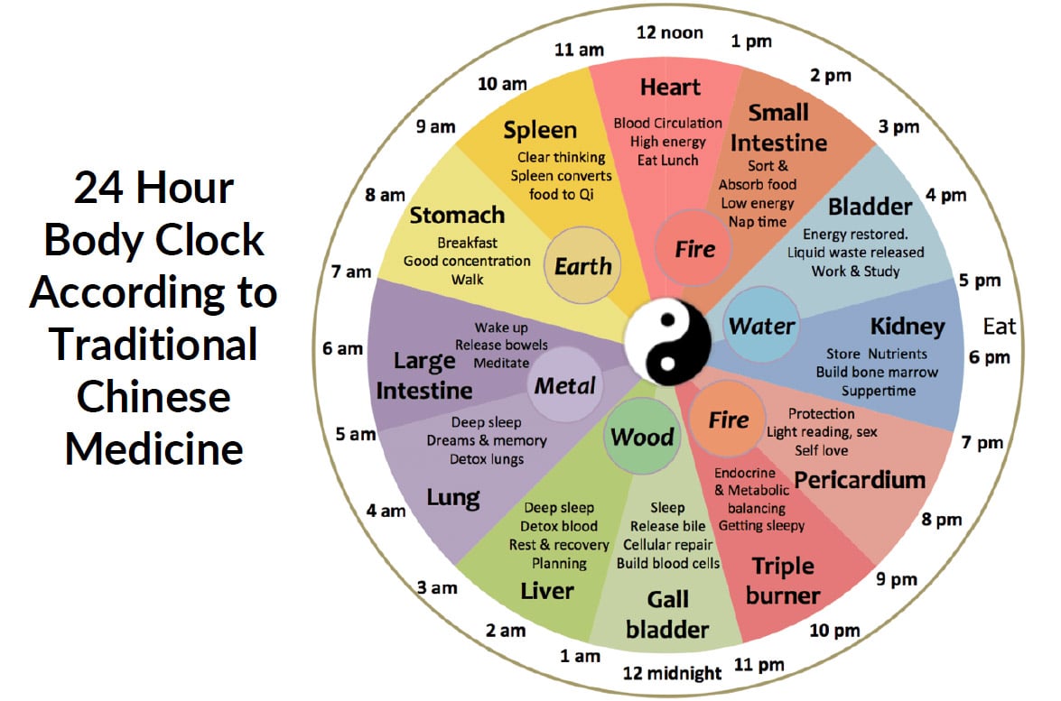Chinese medicine 24-hour body clock Chinese medicine 24-hour body clock