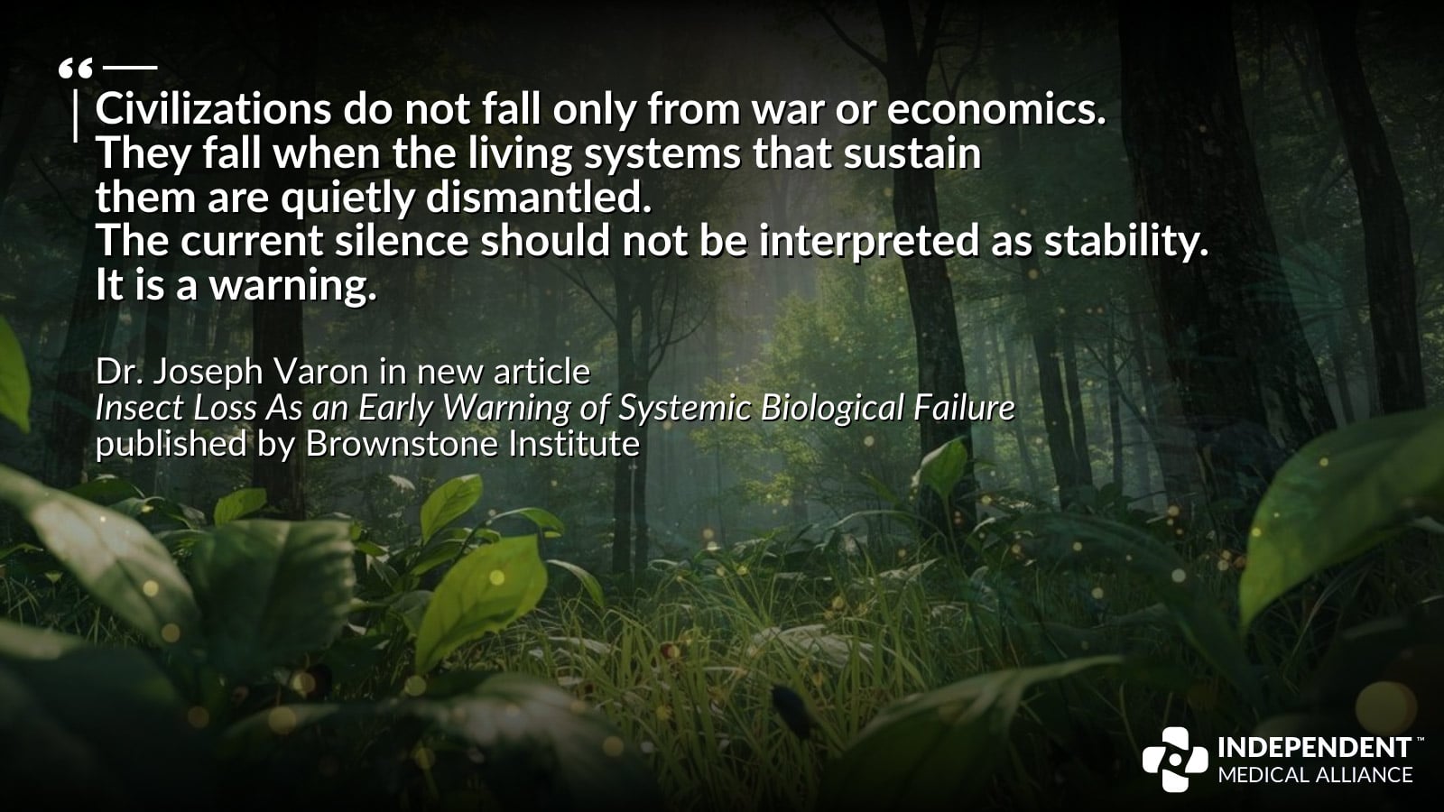 Insect loss, Joseph Varon