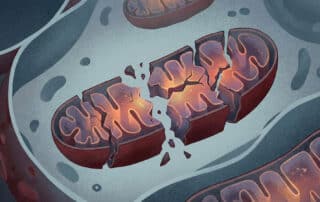 mitochondria long covid pacvs hero
