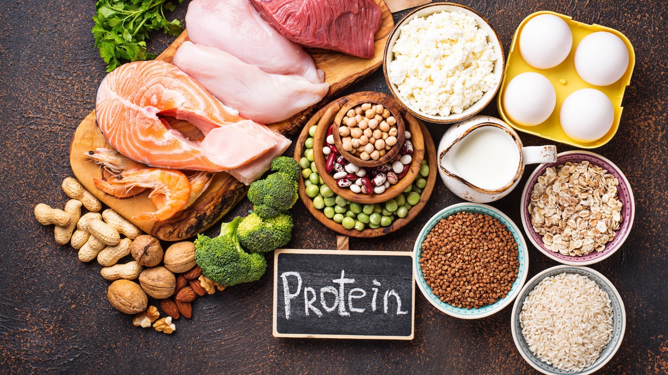 protein matters