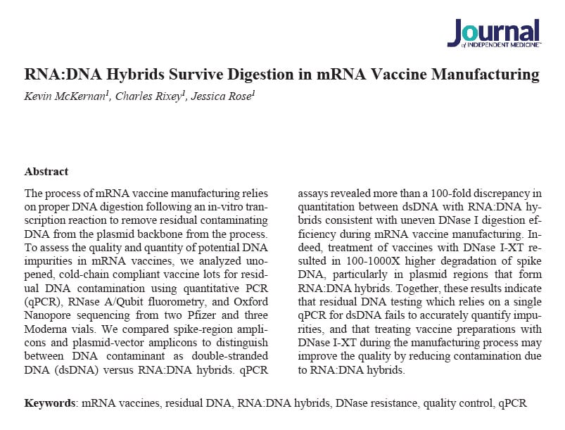 RNA-DNA hybrids survive digestion in mrna vaccine manufacturing study image