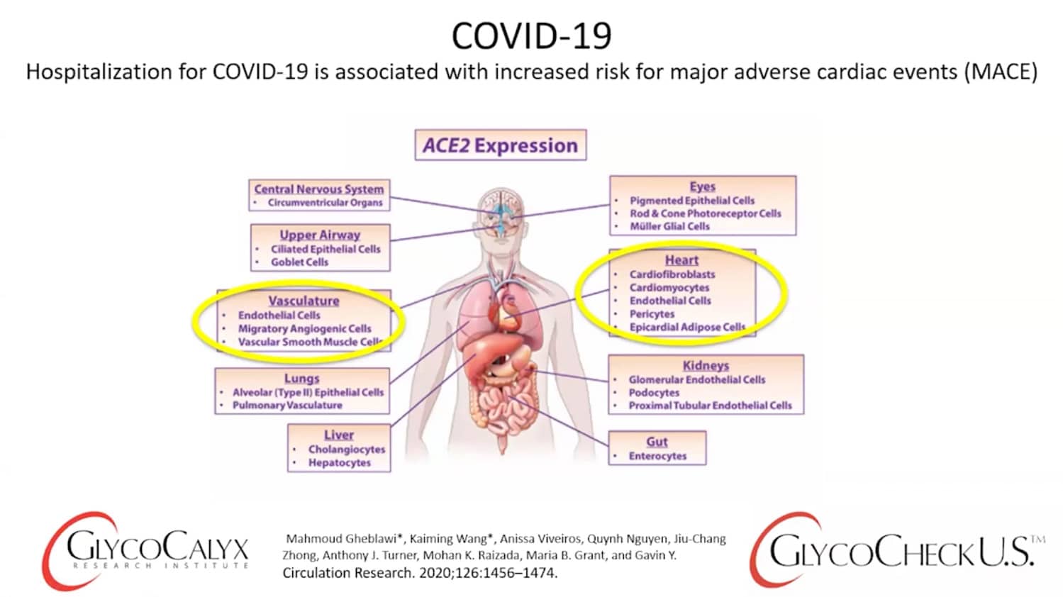 COVID-19 heart health