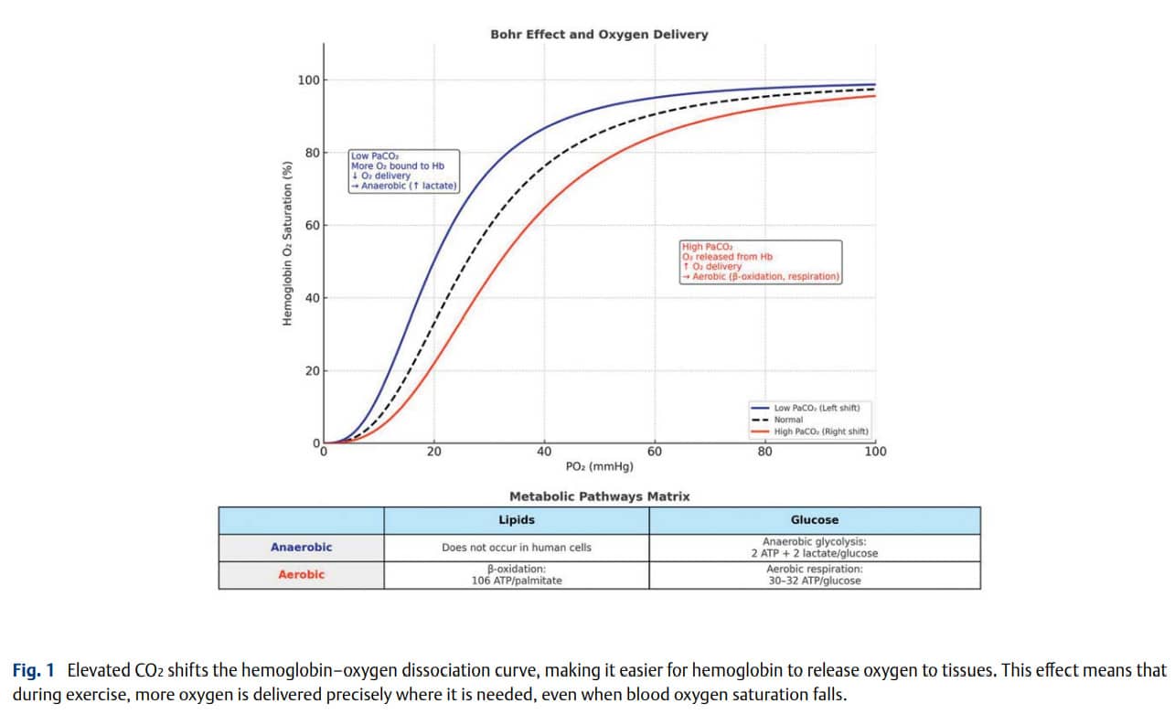 Figure 1: Thieme Study