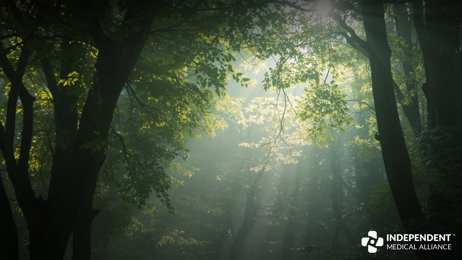 Journal of Independent Medicine, Vol. 2, No. 2