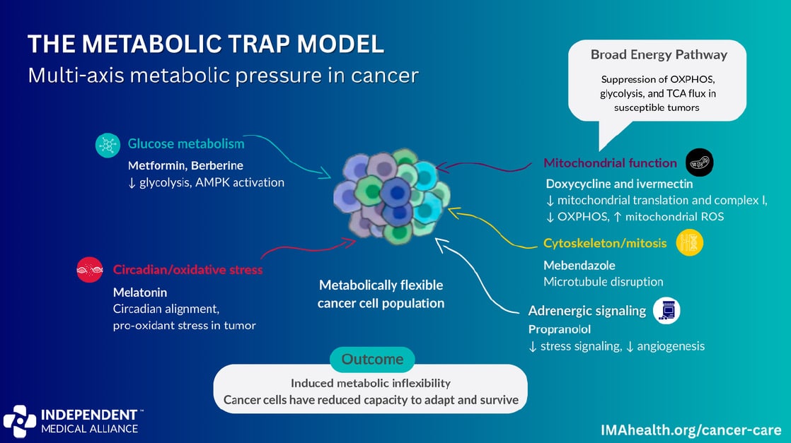The Metabolic Trap Model - coordinated multi-axis metabolic pressure