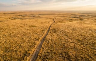 A new review finds fewer than 2 percent of cancers helped by new drugs