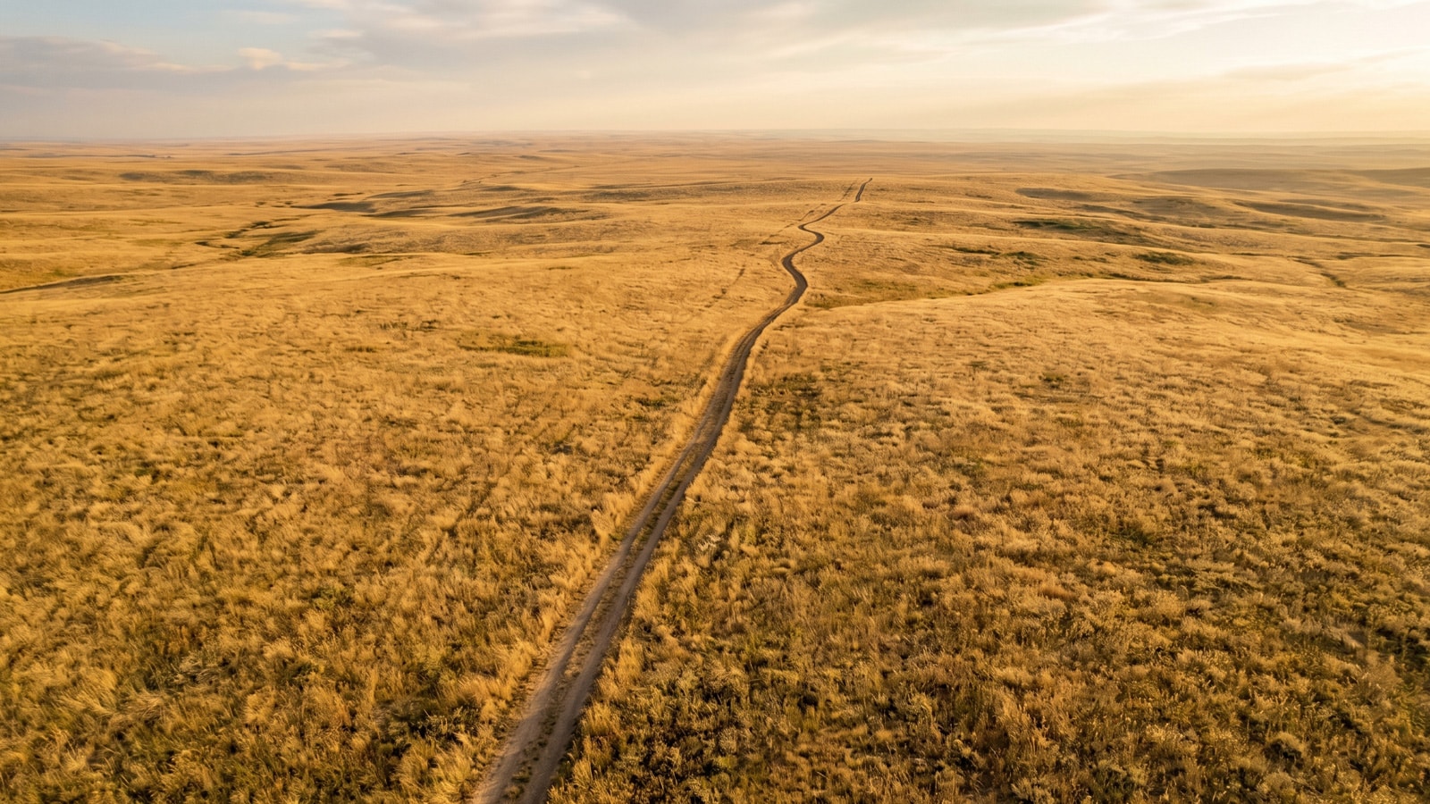 A new review finds fewer than 2 percent of cancers helped by new drugs