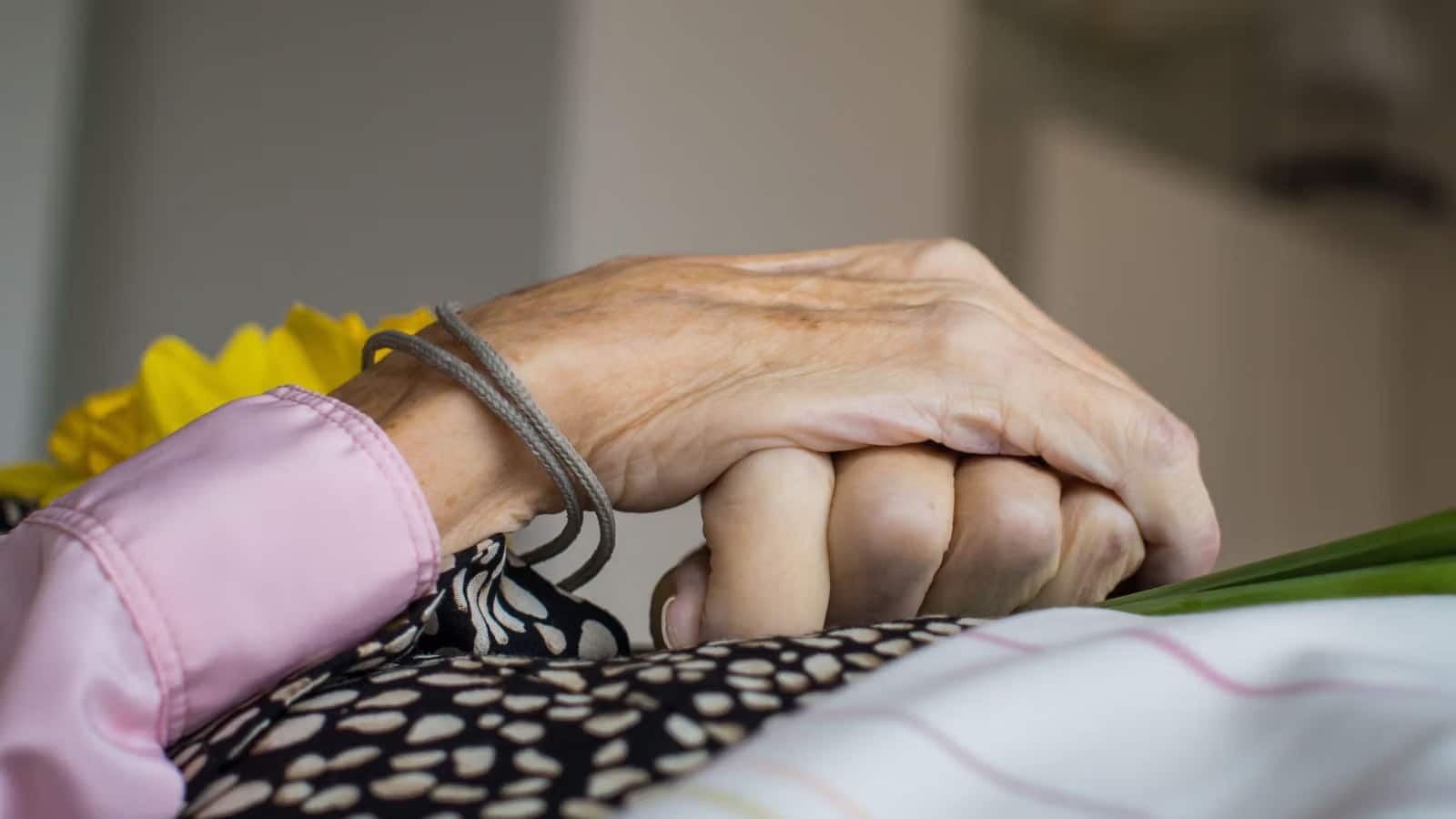 the lesson my mother taught me