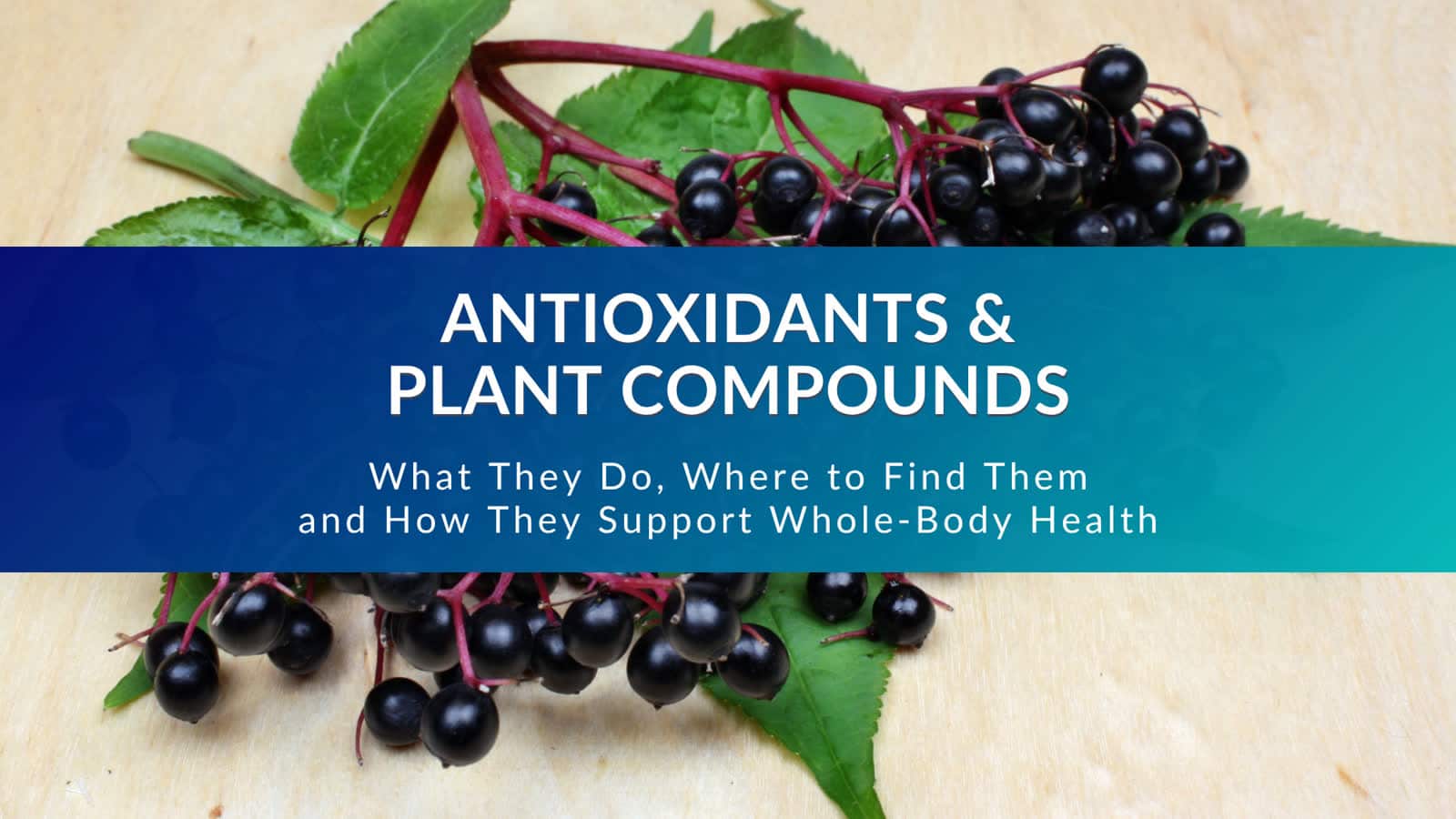 Colorful arrangement of antioxidant-rich foods and botanicals